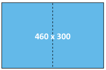 2/1 TS - 460 x 300
